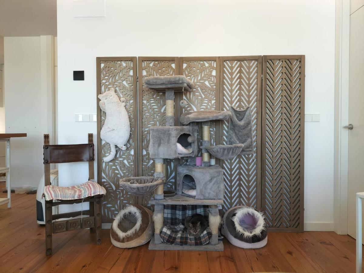 سانتياغو دي كومبوستيلا Preciosa Habitacion Suite En Atico Con Terraza المظهر الخارجي الصورة